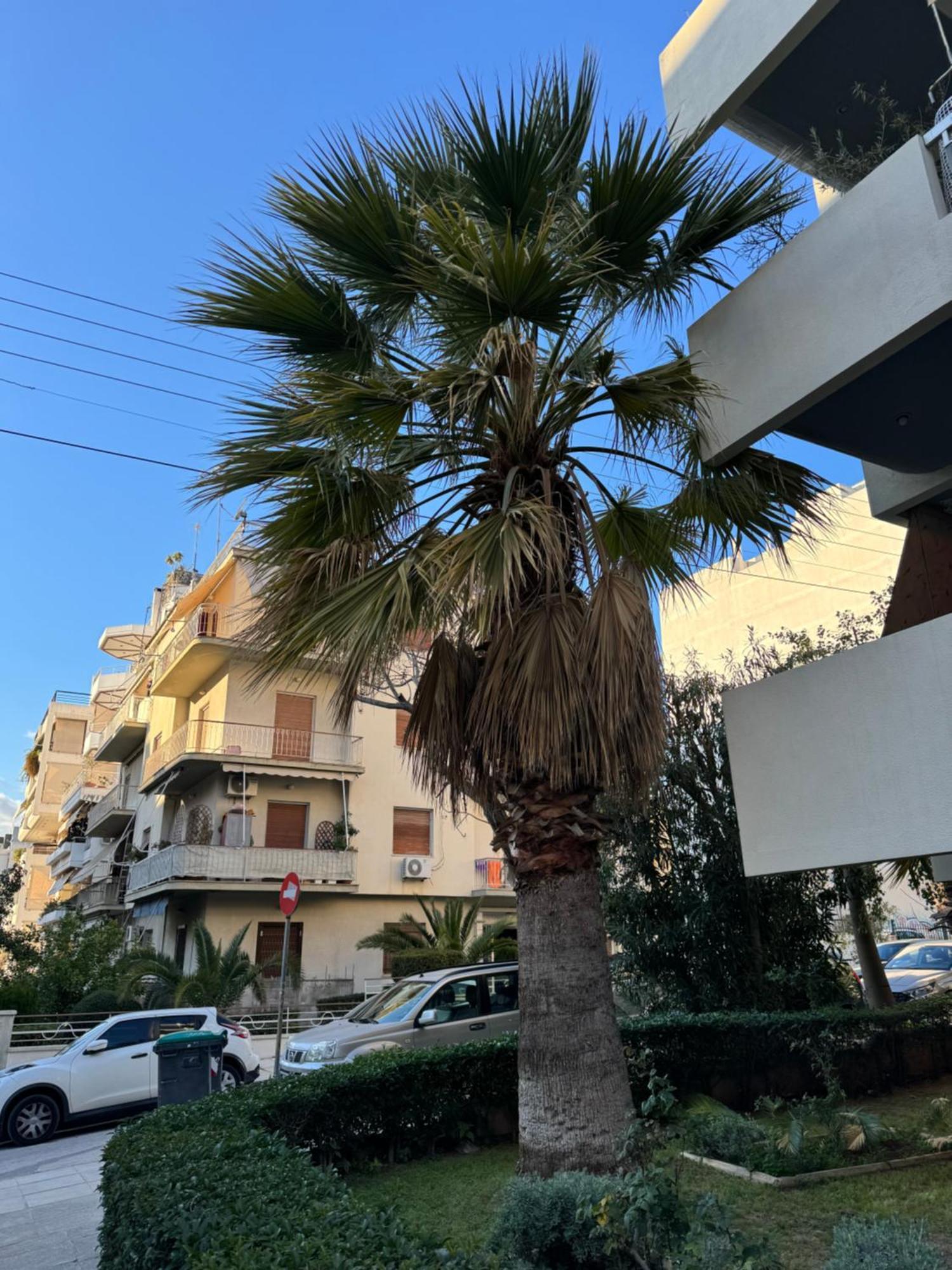 Cozy Home In Nea Smirni Athens Exterior photo